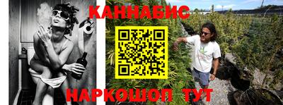 гашик Новозыбков